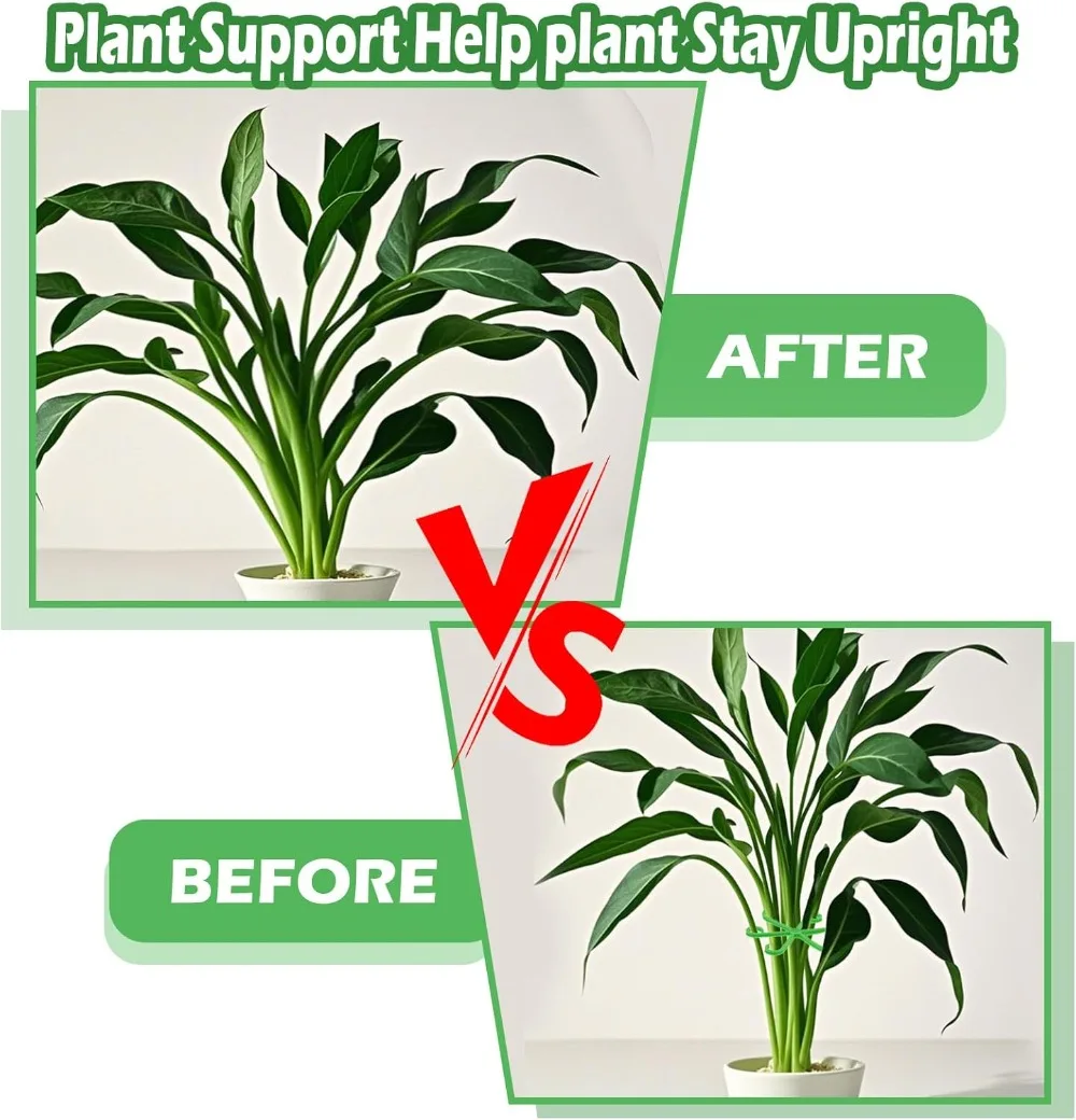 Bloem Plant Stem Ondersteuning - Florist Supply Bulk recensie en prijs