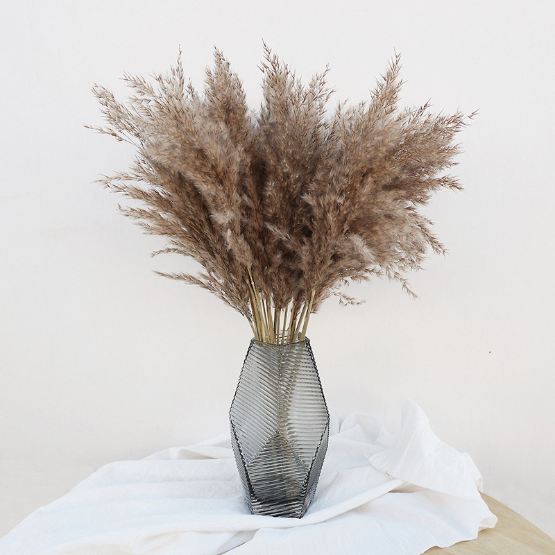 10 stuks kleurrijke natuurlijk - Florist Supply Vases recensie en prijs