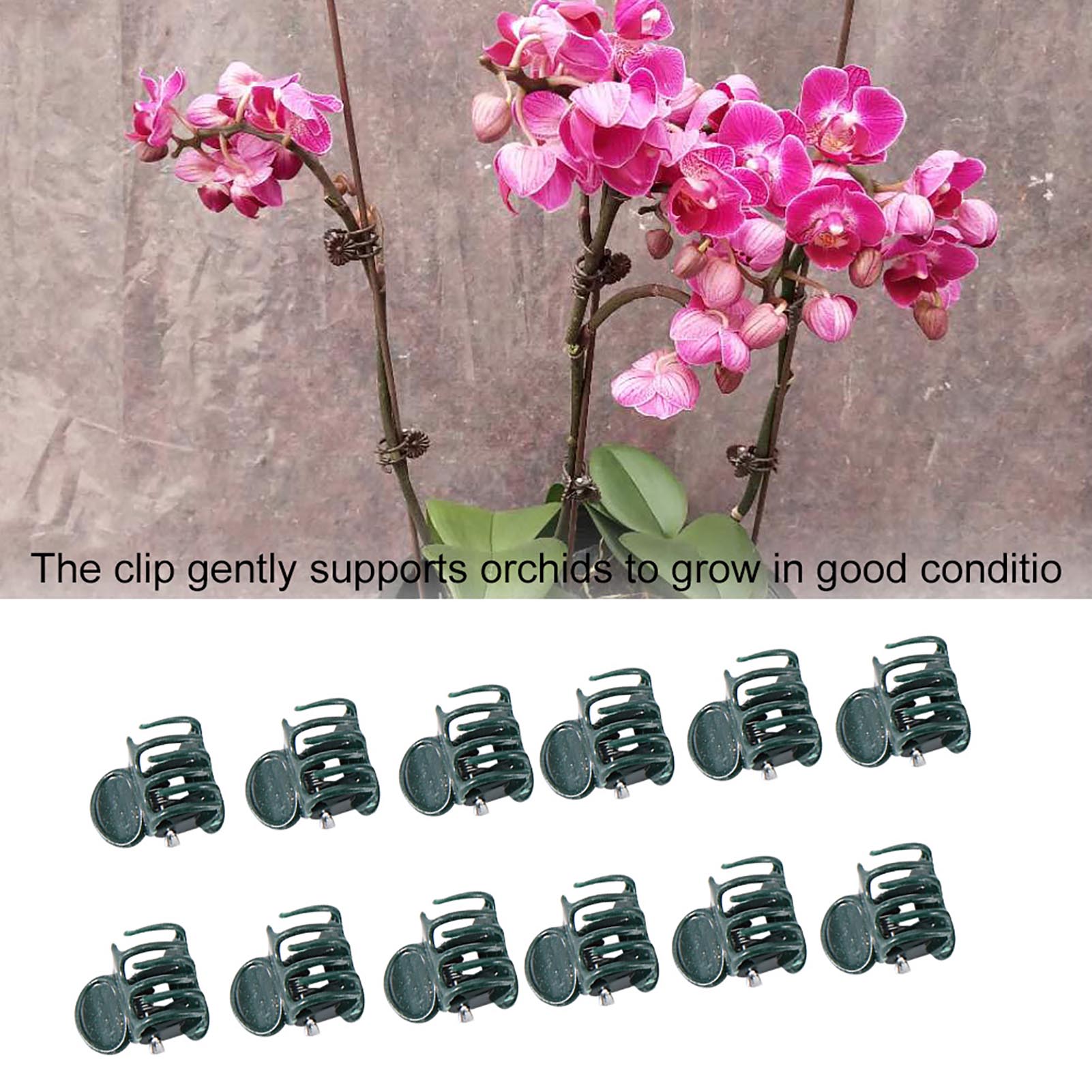 100 stks Mini Plant Clips Tuin - Florist Supply Bulk recensie en prijs