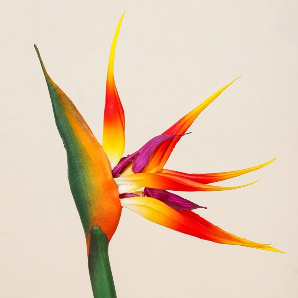 Nieuwe lange steel kunstmatige - Florist Supply Bulk recensie en prijs